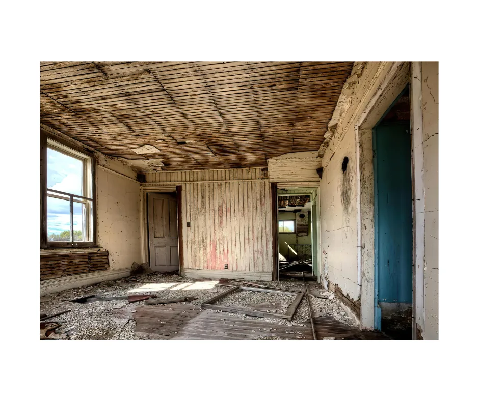 Mold Remediation project photo, Nassau County