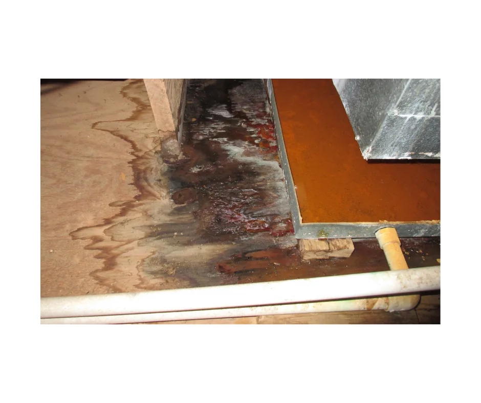 Critical Incident Recovery Nassau project photo