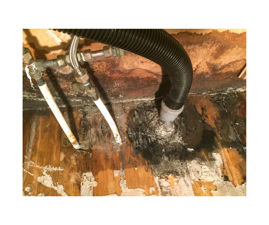 Water Damage Restoration, Nassau County