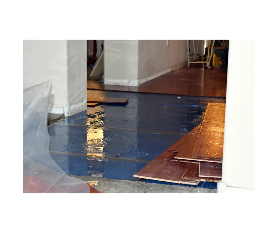 Critical Incident Recovery Nassau project photo