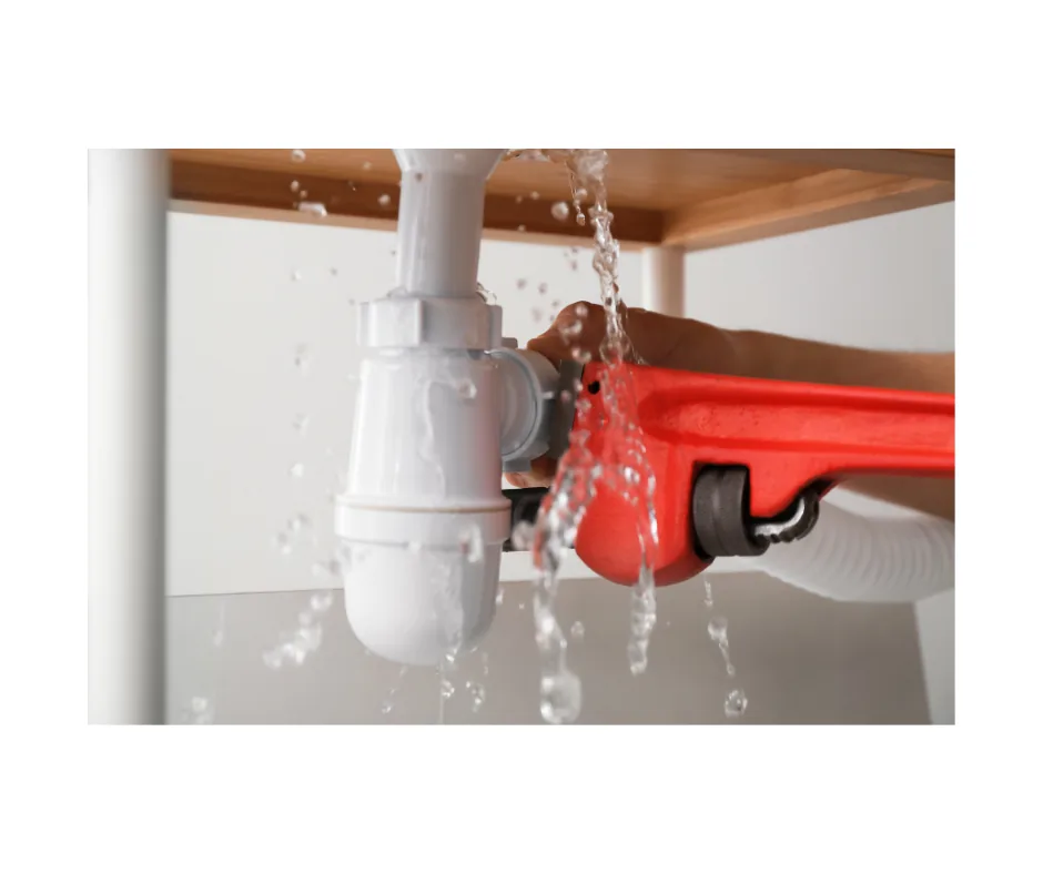 Water Damage Restoration project photo, Nassau County